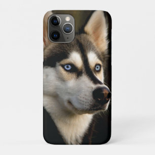 Beautiful Husky Throw Pillow iPhone 11 Pro Case
