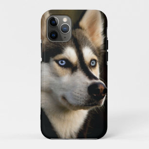 Beautiful Husky Throw Pillow iPhone 11 Pro Case