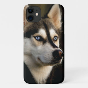 Beautiful Husky Throw Pillow iPhone 11 Case