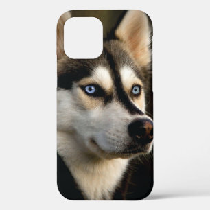 Beautiful Husky Throw Pillow iPhone 12 Pro Case