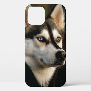 Beautiful Husky Throw Pillow iPhone 12 Case