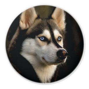 Beautiful Husky Throw Pillow Ceramic Knob