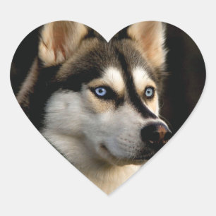 Beautiful Husky Throw Pillow Heart Sticker