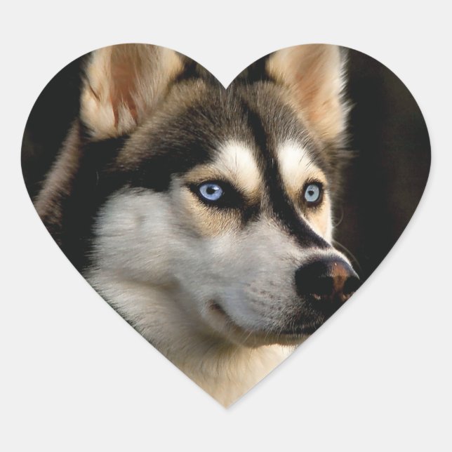 Beautiful Husky Throw Pillow Heart Sticker (Front)