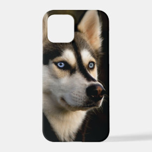 Beautiful Husky Throw Pillow iPhone 12 Pro Case