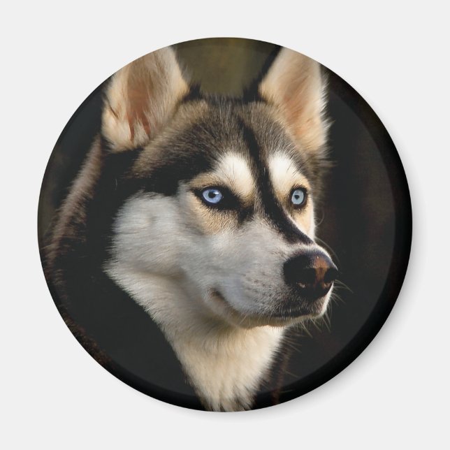 Beautiful Husky Throw Pillow Magnet (Front)