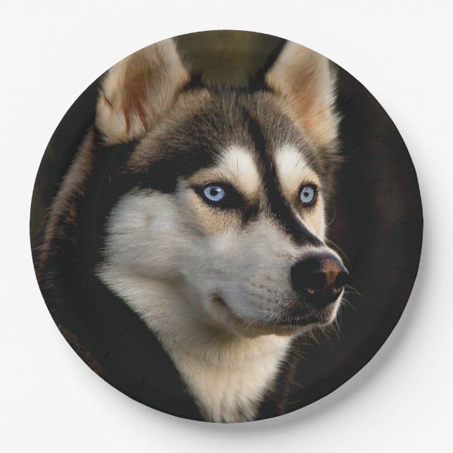 Beautiful Husky Throw Pillow Paper Plate (Front)