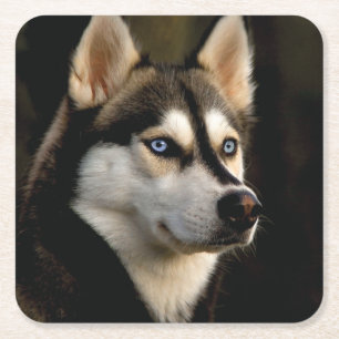 Beautiful Husky Throw Pillow Square Paper Coaster