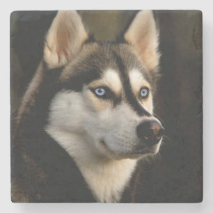 Beautiful Husky Throw Pillow Stone Coaster