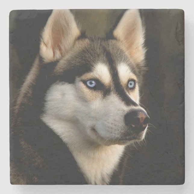 Beautiful Husky Throw Pillow Stone Coaster (Front)
