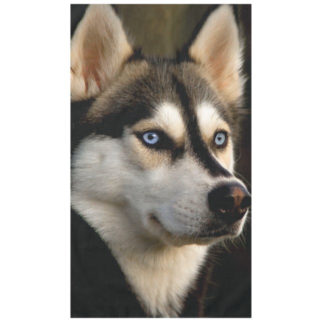 Beautiful Husky Throw Pillow Tablecloth (Front)