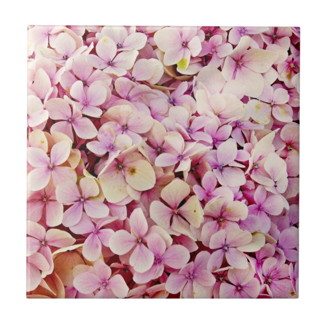 Beautiful Hydrangea Flowers Ceramic Tile (Front)