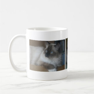 Beautiful Hymalayan Ragdoll Cat Coffee Mug