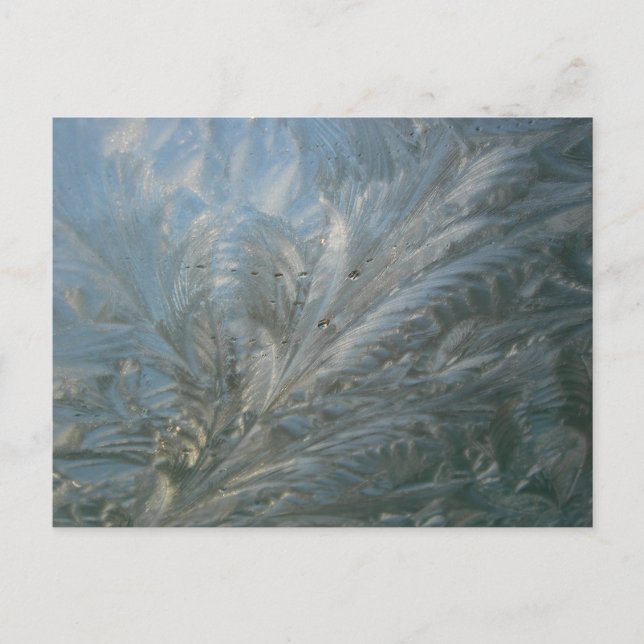 Beautiful Ice Flower DIY Postcard (Front)