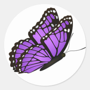 Beautiful illustrated Butterfly Classic Round Stic Sticker