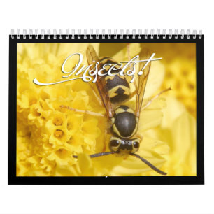 Beautiful Insects Calendar 2018