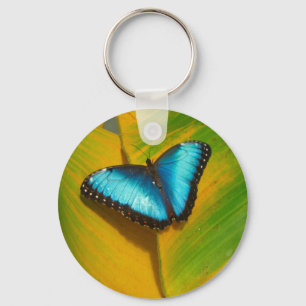 Beautiful Iridescent Butterfly Key Ring