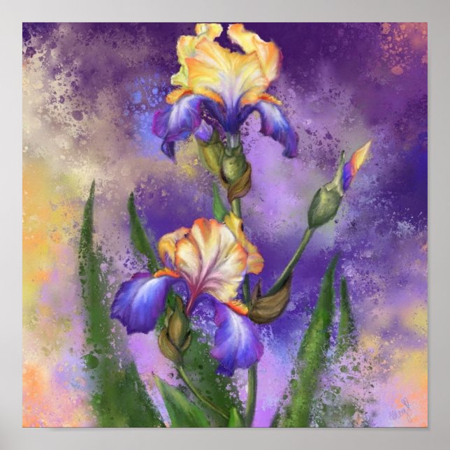 Beautiful Iris Flower - Migned Art Painting Poster (Front)