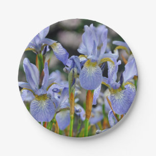 Beautiful iris flowers paper plate
