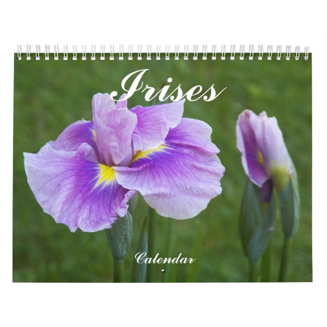 Beautiful Irises Floral Photographic Calendar (Cover)
