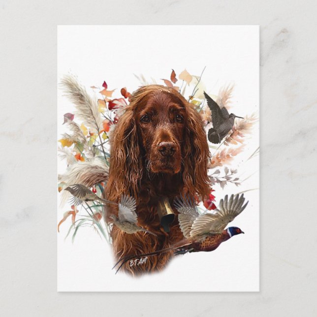 Beautiful Irish Red Setter Holiday Postcard (Front)