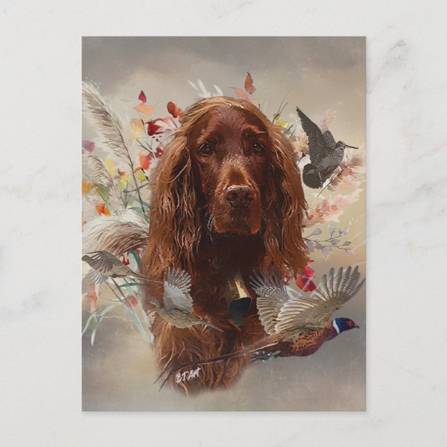 Beautiful Irish Red Setter Postcard (Front)