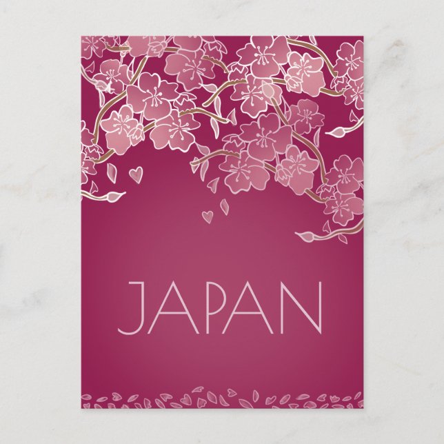 Beautiful Japan Sakura Flower Hand Illustrated  Postcard (Front)