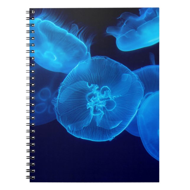 BEAUTIFUL JELLYFISH NOTEBOOK (Front)