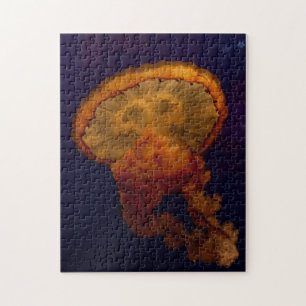 Beautiful Jellyfish Photo Puzzle