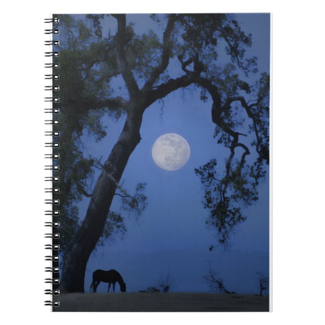 Beautiful Journalling Notebook Horse, Oak Tree Moo (Front)