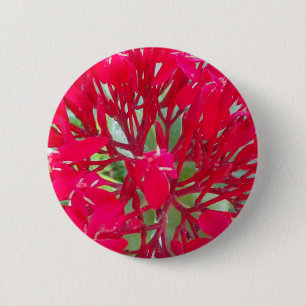 Beautiful Kaleidoscope of Colourful Red Milkweed 6 Cm Round Badge