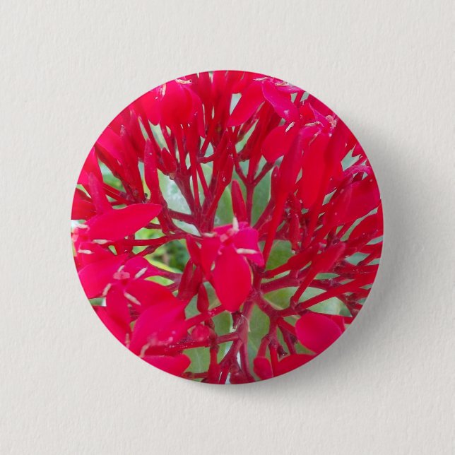 Beautiful Kaleidoscope of Colourful Red Milkweed  6 Cm Round Badge (Front)