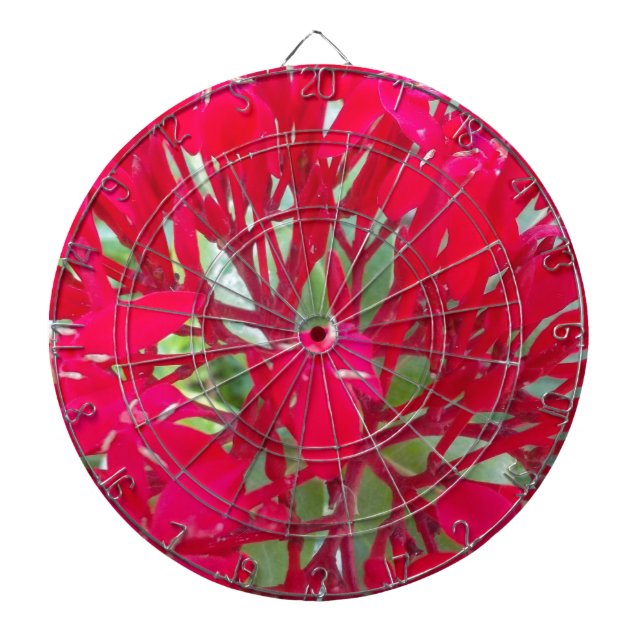 Beautiful Kaleidoscope of Colourful Red Milkweed  Dartboard (Front)