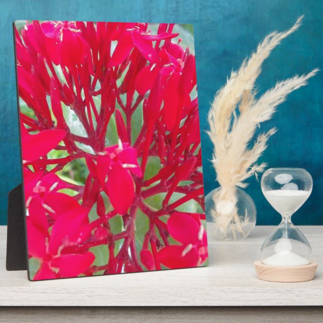 Beautiful Kaleidoscope of Colourful Red Milkweed  Plaque (Side)