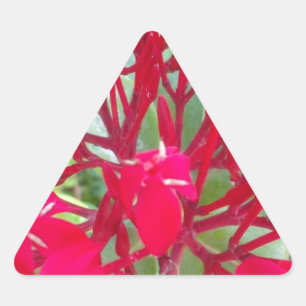 Beautiful Kaleidoscope of Colourful Red Milkweed  Triangle Sticker