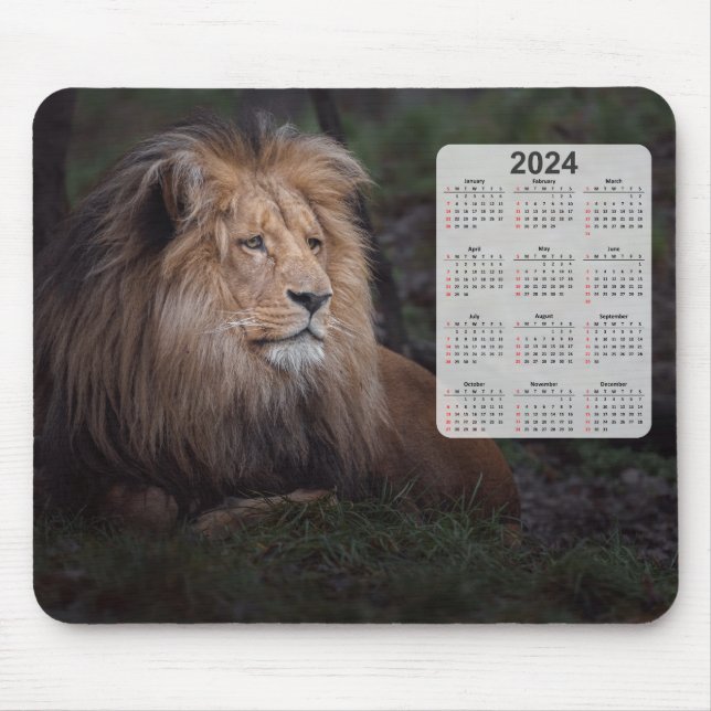 Beautiful Katanga Lion 2024 Calendar Mouse Pad (Front)
