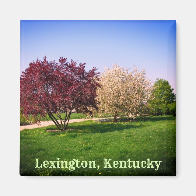Beautiful Kentucky Landscape and Trees Magnet (Front)