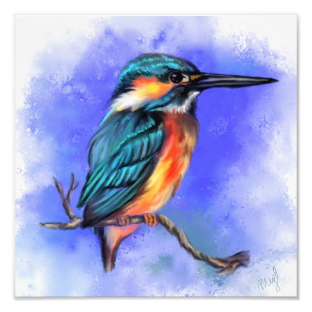 Beautiful Kingfisher Bird Photo Print (Front)