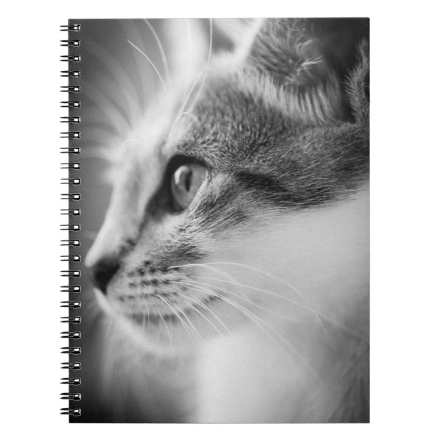 Beautiful Kitten Notebook (Front)