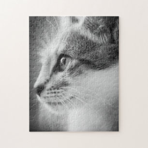 Beautiful Kitten Puzzle