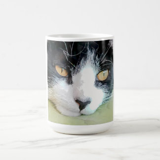 Beautiful Kitten resting Coffee Mug