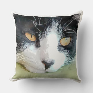 Beautiful Kitten with Tender Look Cushion