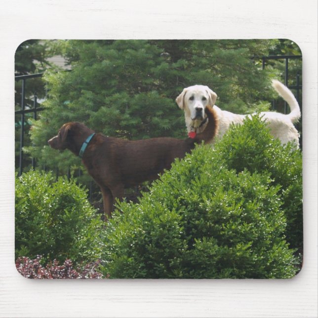Beautiful Labrador mouse pad (Front)