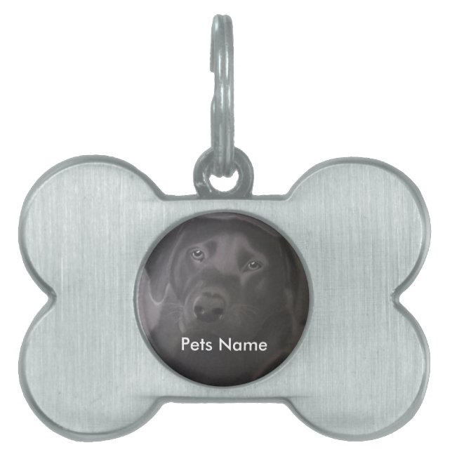 Beautiful Labrador Retriever Pet Tag (Front)