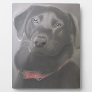 Beautiful Labrador Retriever Plaque