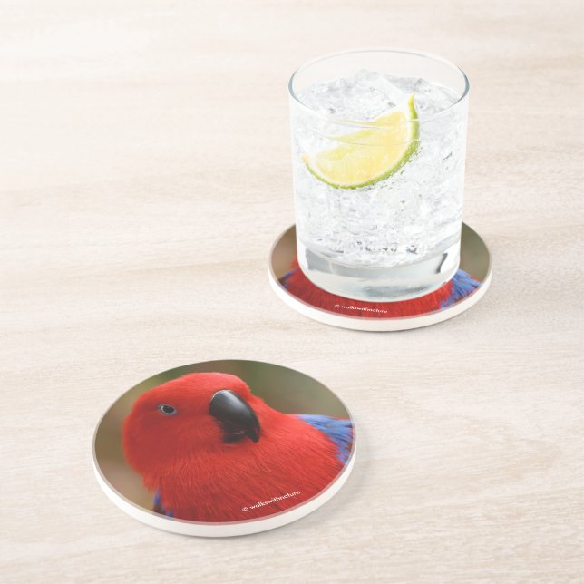 Beautiful "Lady in Red" Eclectus Parrot Coaster (Side)