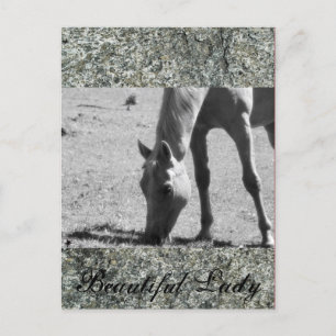 Beautiful Lady Postcard