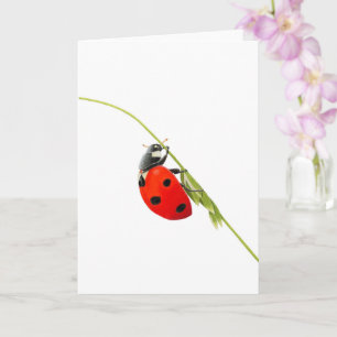 Beautiful Ladybug Drawing  Folded Greeting Card