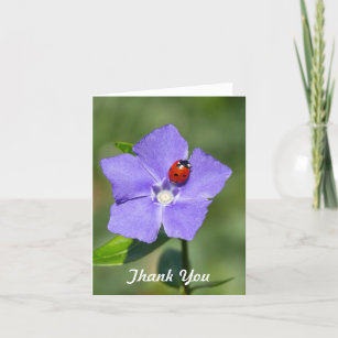 Beautiful Ladybug on Periwinkle Thank you Card