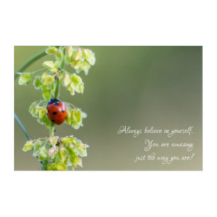 Beautiful ladybug with motivational quote acrylic print